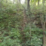 donnie-danner-piece-005-921×517