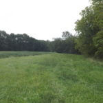 donnie-danner-piece-003-921×517