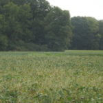 donnie-danner-piece-002-921×517