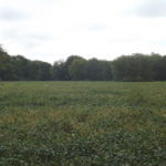 donnie-danner-piece-001-921×517