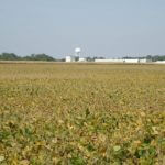 john-oreilly2014-09-19_12-49-22illinois-land-for-sale-fulton-county-hunting-farm-land-921×517