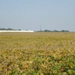 john-oreilly2014-09-19_12-49-12illinois-land-for-sale-fulton-county-hunting-farm-land-921×517