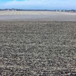 john-oreilly2015-02-16_09-46-57illinois-land-for-sale-fulton-county-hunting-farm-land-921×517