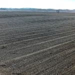 john-oreilly2015-02-16_09-31-57illinois-land-for-sale-fulton-county-hunting-farm-land-921×517