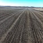 john-oreilly2015-02-16_09-31-45illinois-land-for-sale-fulton-county-hunting-farm-land-921×517