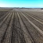 john-oreilly2015-02-16_09-31-10illinois-land-for-sale-fulton-county-hunting-farm-land-921×517