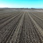 john-oreilly2015-02-16_09-30-17illinois-land-for-sale-fulton-county-hunting-farm-land-921×517