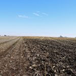john-oreilly2015-02-10_13-54-23illinois-land-for-sale-fulton-county-hunting-farm-land-921×517
