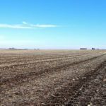 john-oreilly2015-02-10_13-54-22illinois-land-for-sale-fulton-county-hunting-farm-land-921×517