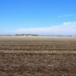 john-oreilly2015-02-10_13-54-19illinois-land-for-sale-fulton-county-hunting-farm-land-921×517