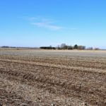 john-oreilly2015-02-10_13-54-17illinois-land-for-sale-fulton-county-hunting-farm-land-921×517