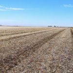 john-oreilly2015-02-10_13-51-53illinois-land-for-sale-fulton-county-hunting-farm-land-921×517