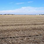 john-oreilly2015-02-10_13-51-23illinois-land-for-sale-fulton-county-hunting-farm-land-921×517