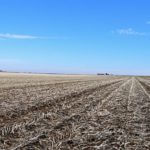 john-oreilly2015-02-10_13-50-20illinois-land-for-sale-fulton-county-hunting-farm-land-921×517