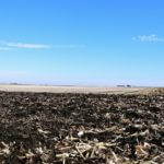 john-oreilly2015-02-10_13-49-47illinois-land-for-sale-fulton-county-hunting-farm-land-921×517