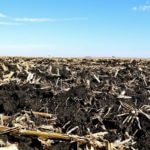 john-oreilly2015-02-10_13-46-39illinois-land-for-sale-fulton-county-hunting-farm-land-921×517