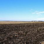john-oreilly2015-02-10_13-25-56illinois-land-for-sale-fulton-county-hunting-farm-land-921×517