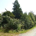 john-oreilly2014-09-19_13-11-55illinois-land-for-sale-fulton-county-hunting-farm-land-921×517