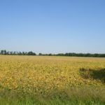 john-oreilly2014-09-19_13-10-09illinois-land-for-sale-fulton-county-hunting-farm-land-921×517