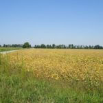 john-oreilly2014-09-19_13-10-03illinois-land-for-sale-fulton-county-hunting-farm-land-921×517