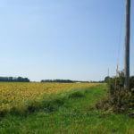 john-oreilly2014-09-19_13-07-18illinois-land-for-sale-fulton-county-hunting-farm-land-921×517