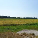 john-oreilly2014-09-19_13-07-01illinois-land-for-sale-fulton-county-hunting-farm-land-921×517
