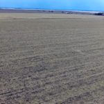 screen-shot-2014-11-13-at-3-56-23-pm-921×517