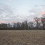 john-oreilly2015-04-15_19-51-15illinois-land-for-sale-fulton-county-hunting-farm-land-921×517