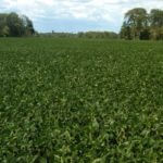 img-20120819-00053-921×517