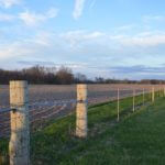 john-oreilly2015-04-15_19-28-02illinois-land-for-sale-fulton-county-hunting-farm-land-921×517