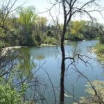 john-oreilly-landco2015-04-27_11-11-54illinois-land-for-sale-farmland-for-sale-921×517