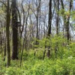 john-oreilly-landco2015-04-27_11-00-36illinois-land-for-sale-farmland-for-sale-921×517