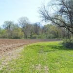 john-oreilly-landco2015-04-27_10-55-25illinois-land-for-sale-farmland-for-sale-921×517