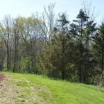 john-oreilly-landco2015-04-27_10-54-54illinois-land-for-sale-farmland-for-sale-921×517