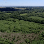 screen-shot-2015-09-08-at-11-03-40-am-921×517