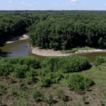 screen-shot-2015-09-08-at-11-03-28-am-921×517