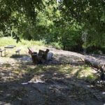 landco94landforsale-921×517