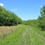 landco92landforsale-921×517