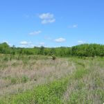 landco91landforsale-921×517