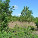 landco90landforsale-921×517