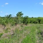 landco89landforsale-921×517