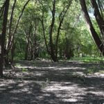 landco84landforsale-921×517