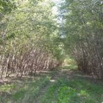 landco80landforsale-921×517