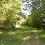 landco78landforsale-921×517