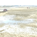 screen-shot-2015-11-14-at-10-28-08-am-921×517