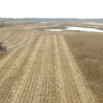 screen-shot-2015-11-14-at-10-27-05-am-921×517