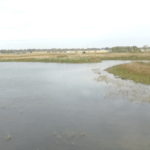 screen-shot-2015-11-14-at-10-26-33-am-921×517