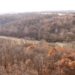 screen-shot-2015-12-24-at-8-45-01-am-921×517