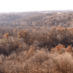 screen-shot-2015-12-24-at-8-44-25-am-921×517