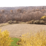 screen-shot-2015-12-24-at-8-44-10-am-921×517